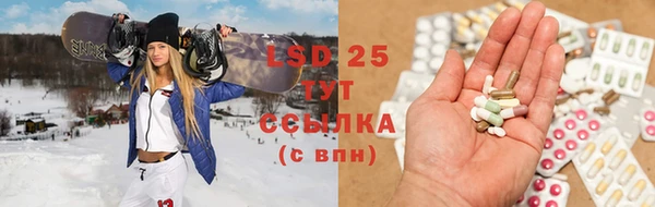 PSILOCYBIN Абдулино