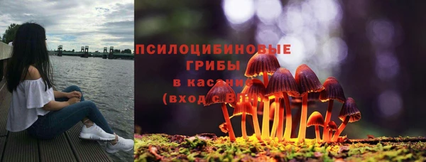 дурь Нефтекумск