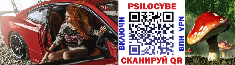закладки Мостовской Псилоцибиновые грибы Psilocybe